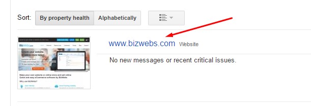 Add sitemap BizWebs